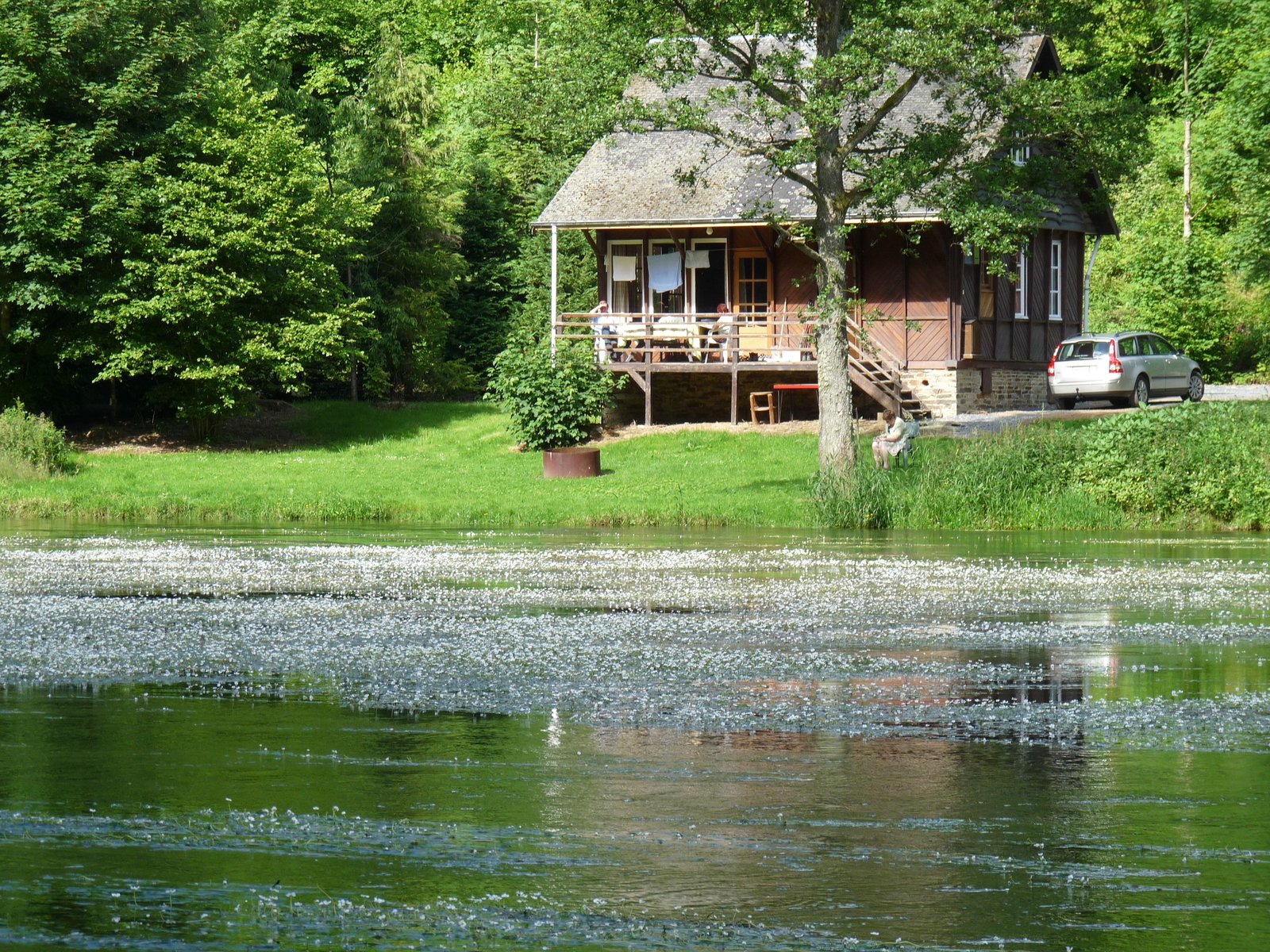Chalet Roseaux