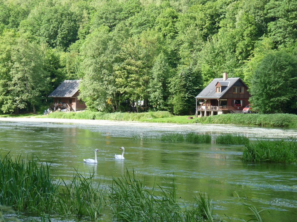 Nénuphars+Mélèzes 1