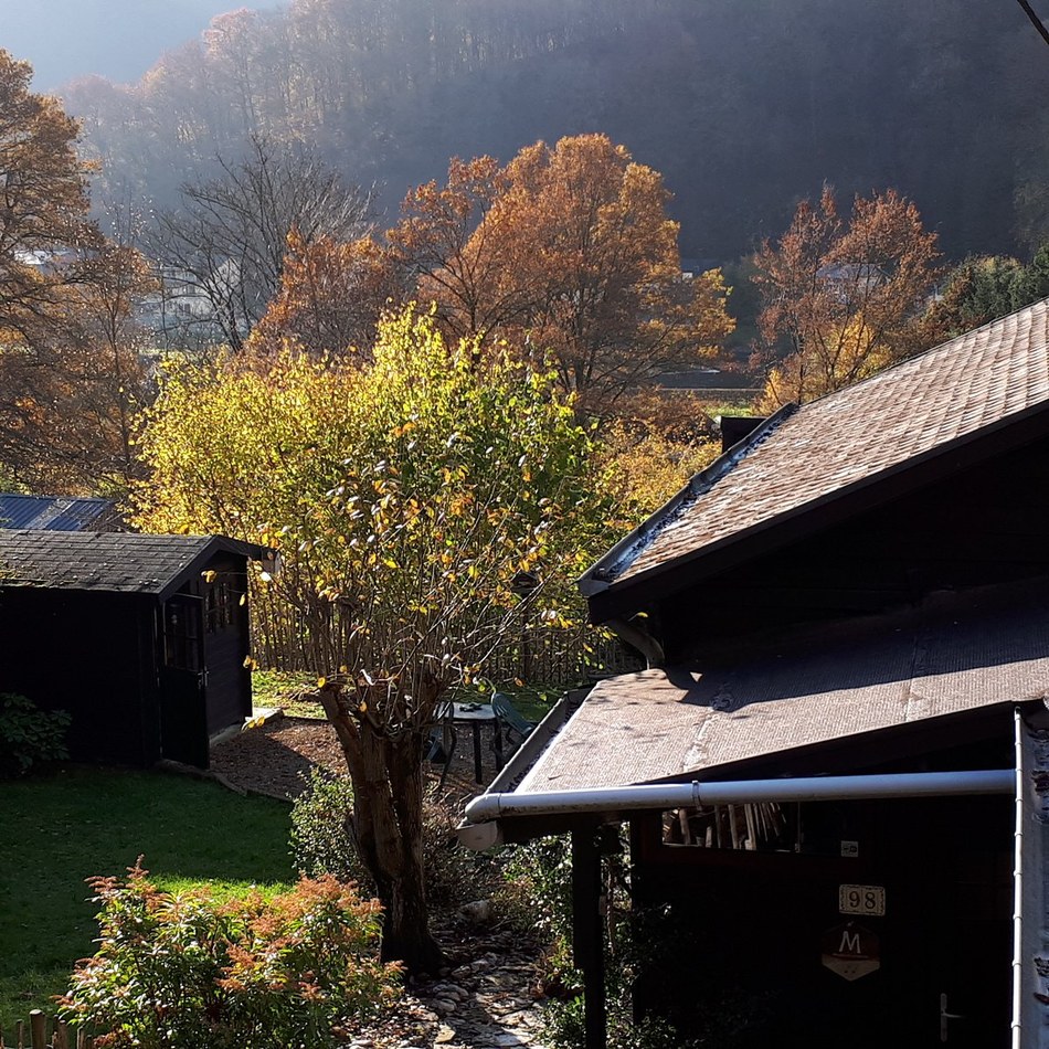 20191119 144627 herfst