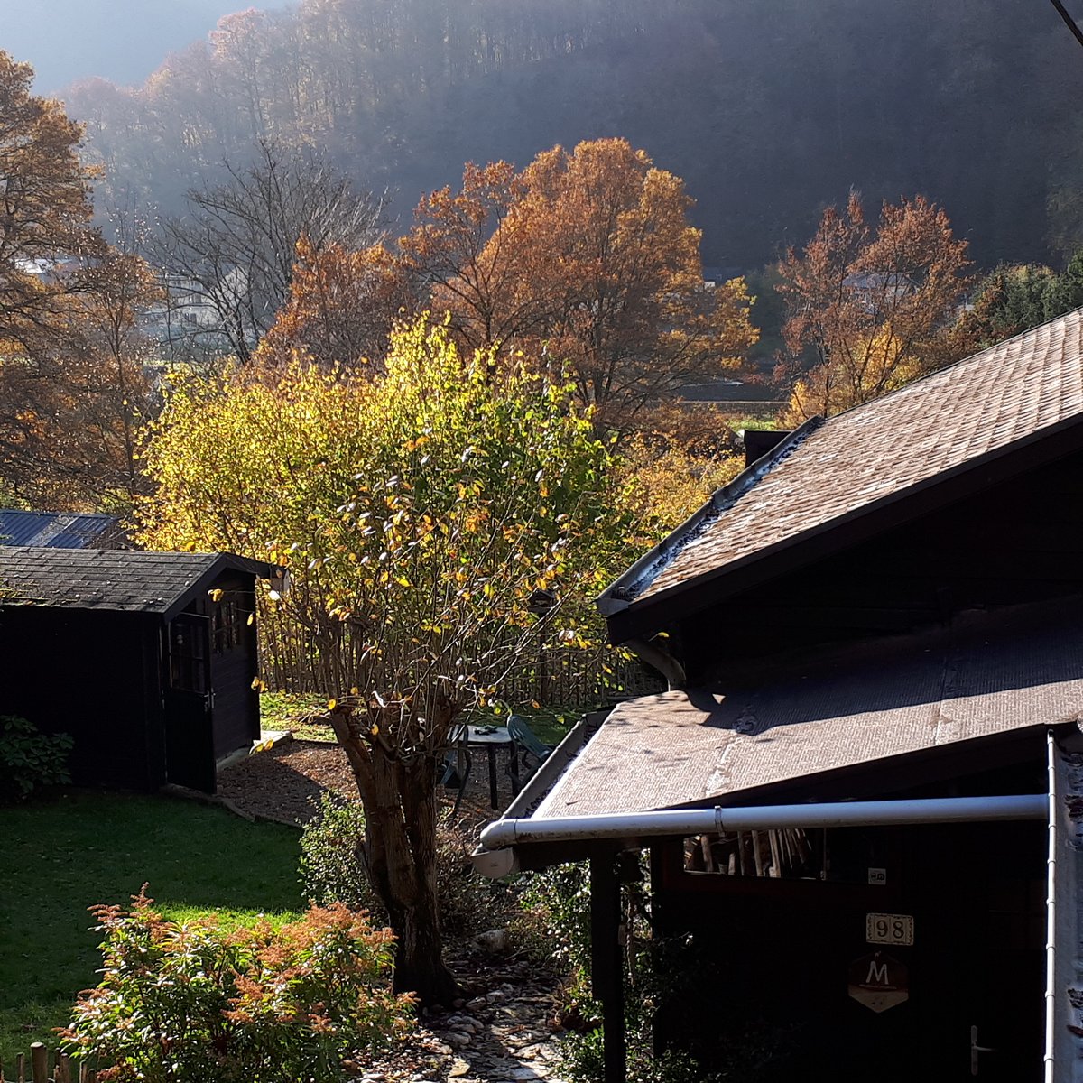 20191119 144627 herfst