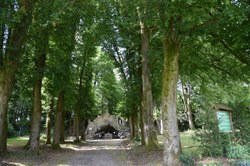 Allée de tilleuls - Sugny Domaine marial