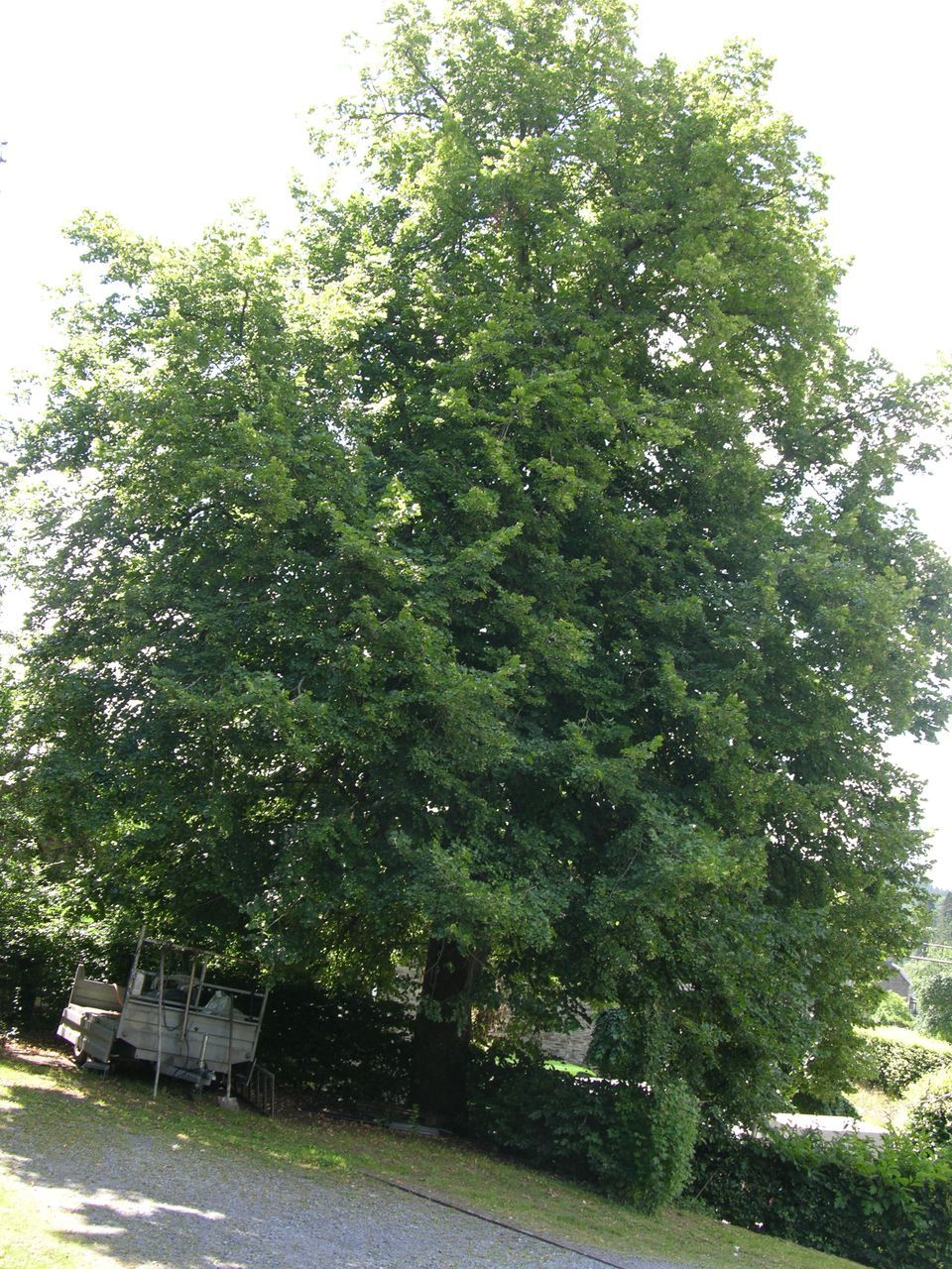 MR 026 02
