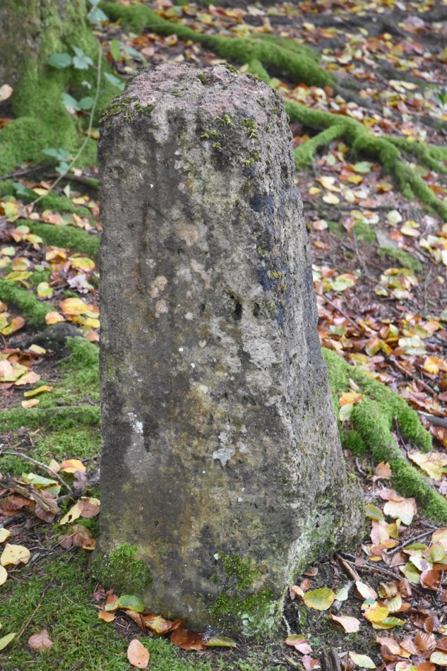 MR 040 02