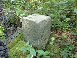Bornes frontière - Orchimont (Hérisson)