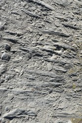 Chemin crêté de Turbutiry - Alle