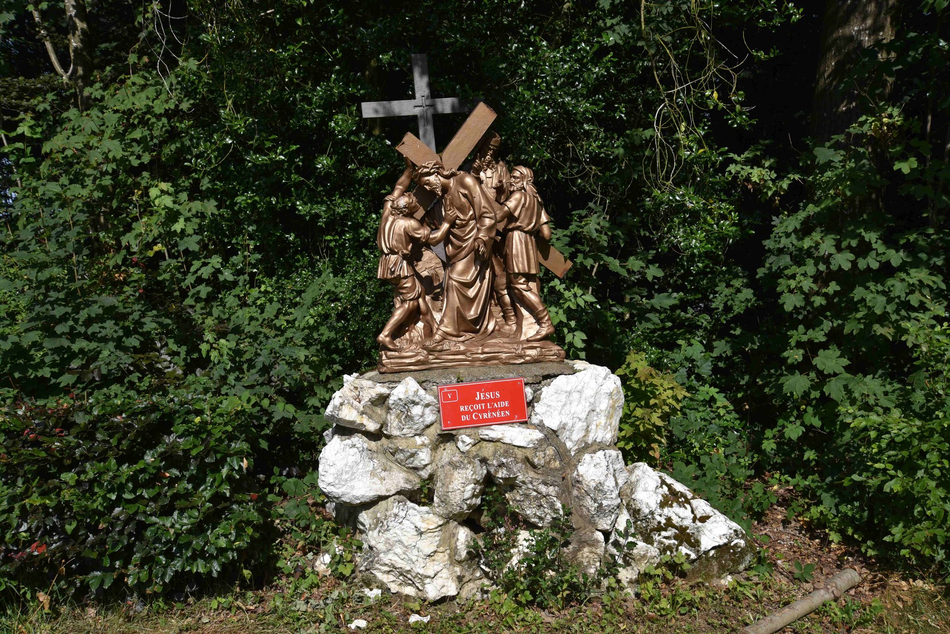 FR 003 P05  