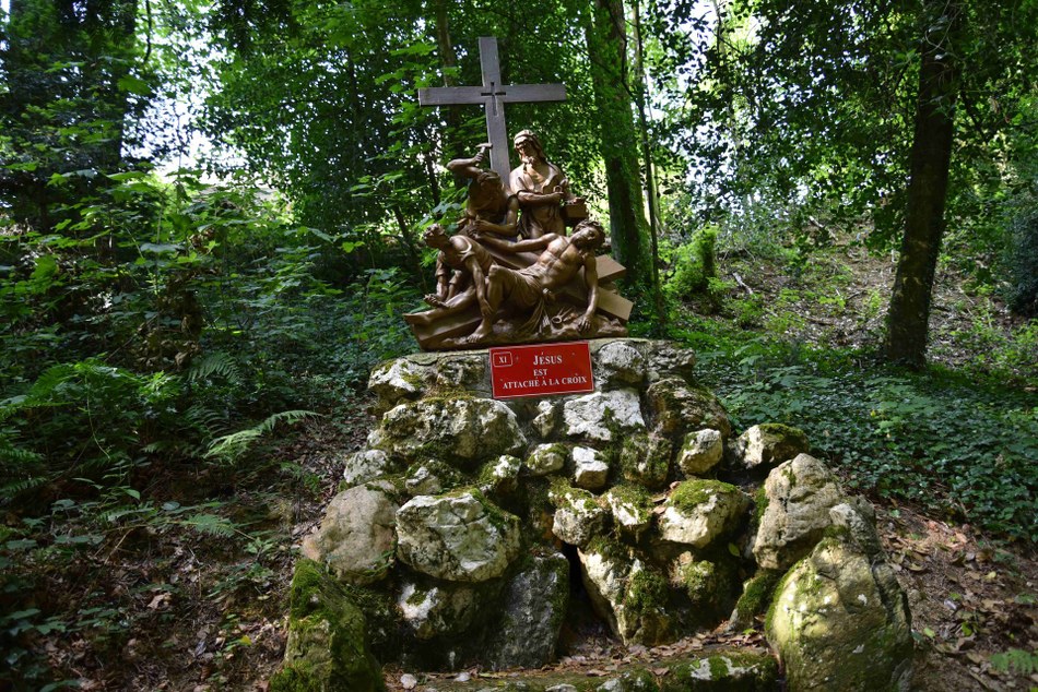 FR 003 P11
