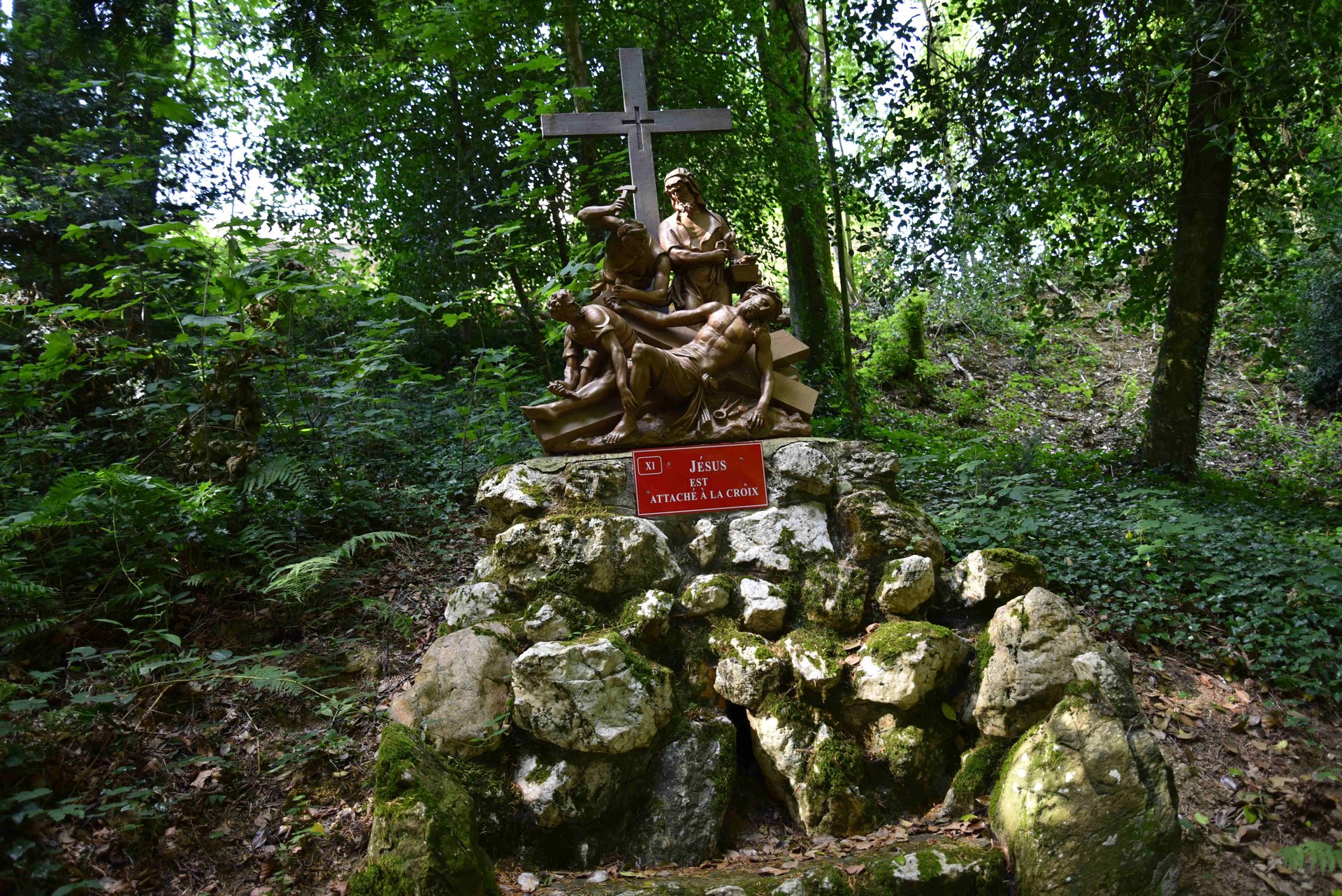 FR 003 P11