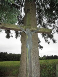 Croix - Orchimont (Hérisson)