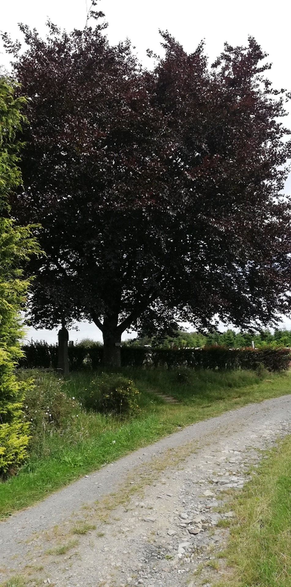 image1_resultat.jpg
