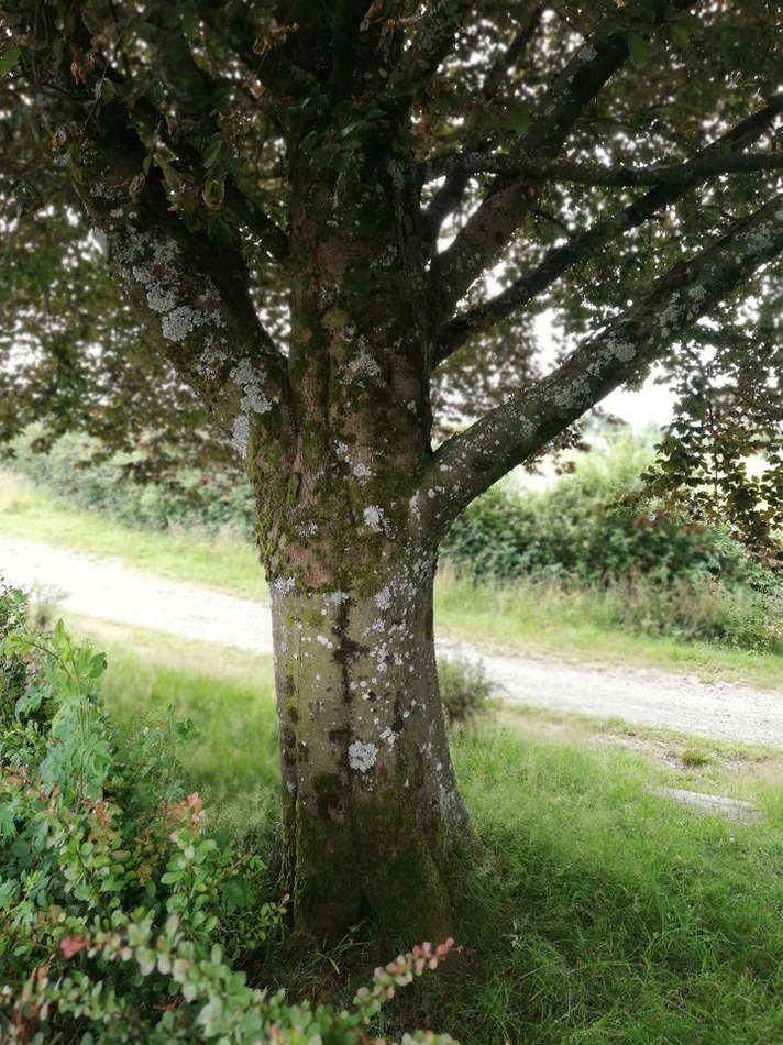 image4_resultat.jpg