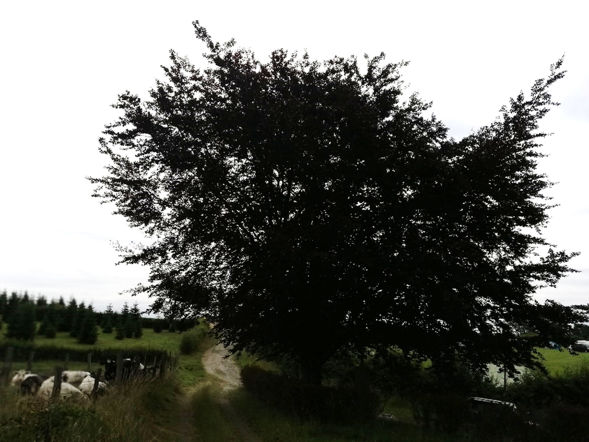image6_resultat.jpg