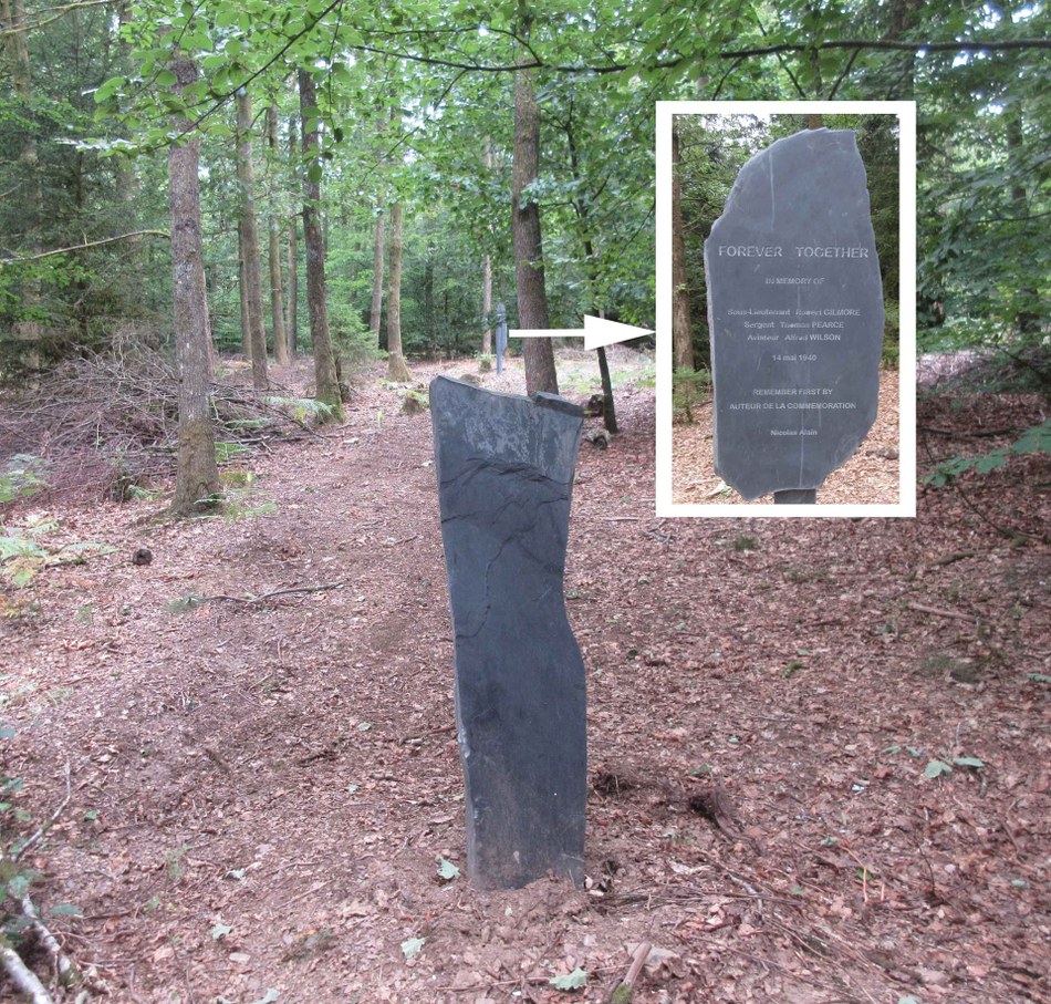 steles dans la foret