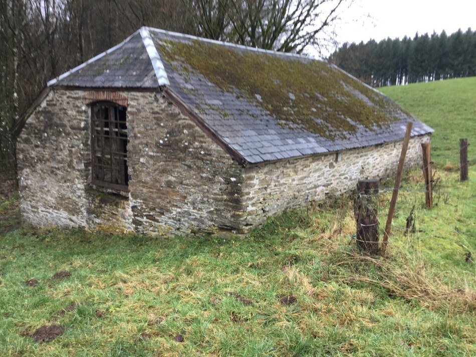 Avant FR 022 P04