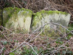 Mur en palis (dalles de schiste dressées de manière jointive) - Mouzaive