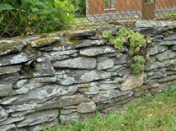 Mur en pierres sèches - Chairière