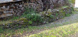 Mur en pierres sèches - Laforêt