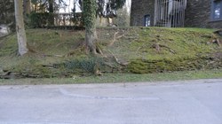 Mur en pierres sèches - Laforêt
