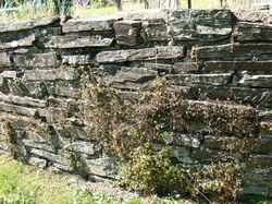 Mur en pierres sèches - Mouzaive