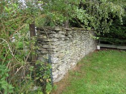 Mur en pierres sèches - orchimont