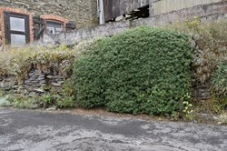 Mur en pierres sèches - orchimont