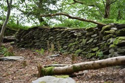 Mur en pierres sèches - orchimont