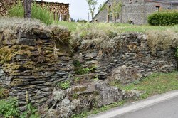 Mur en pierres sèches - orchimont