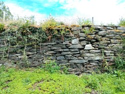 Mur en pierres sèches - orchimont
