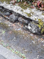Mur en pierres sèches - Vresse