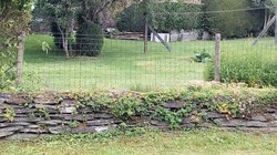 Mur en pierres sèches - Nafraiture