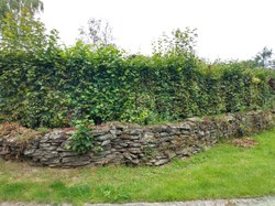 Mur en pierres sèches - Chairière