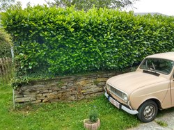 Mur en pierres sèches - Chairière