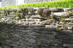 Mur en pierres sèches - Nafraiture
