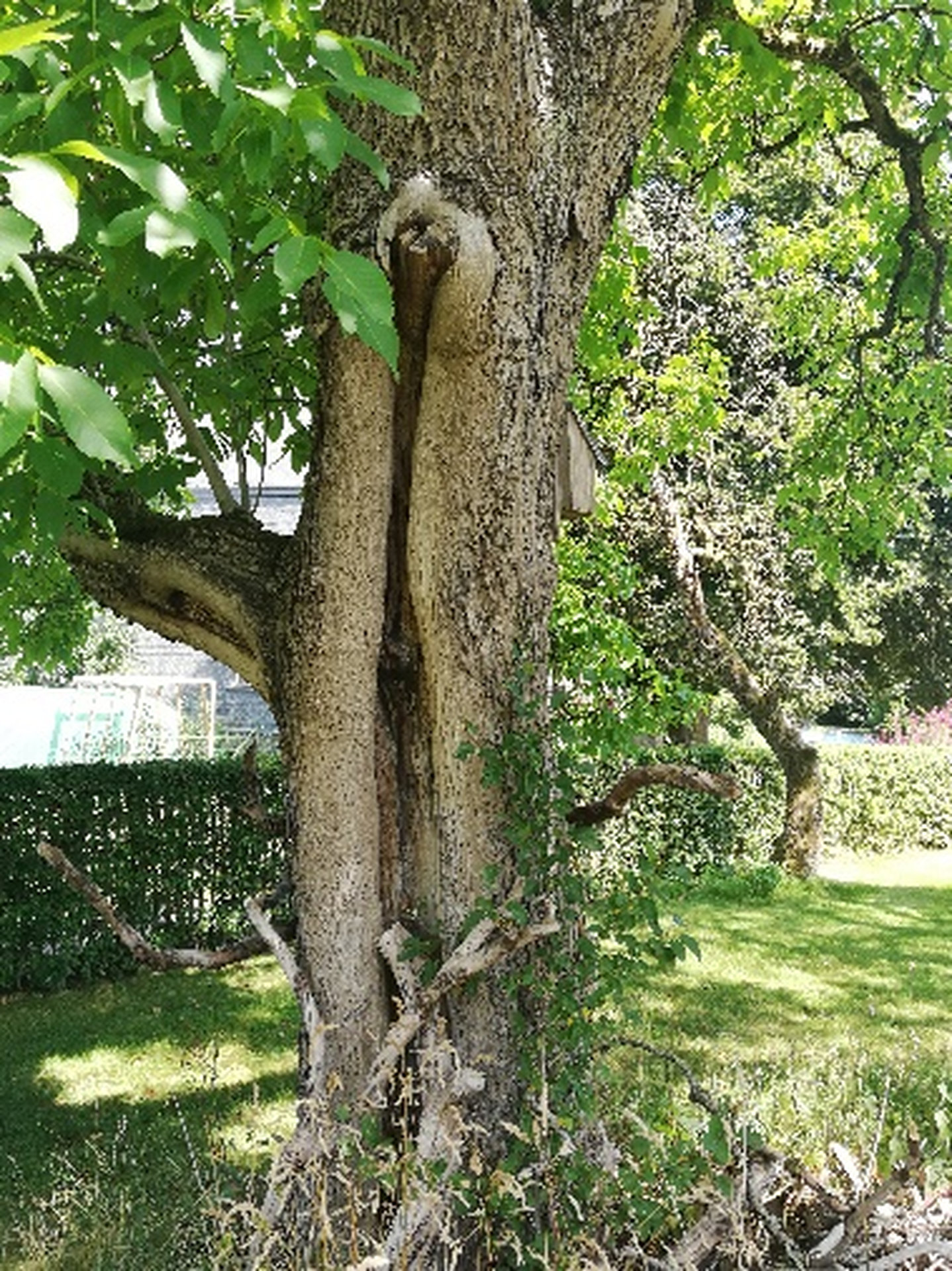 image5_resultat.jpg