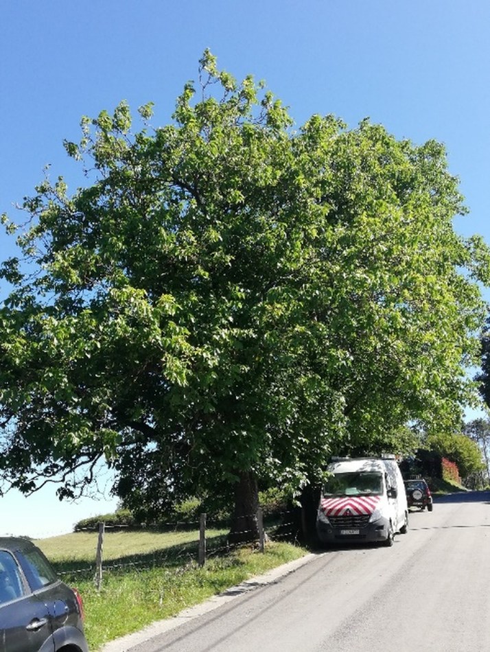 image1_resultat.jpg