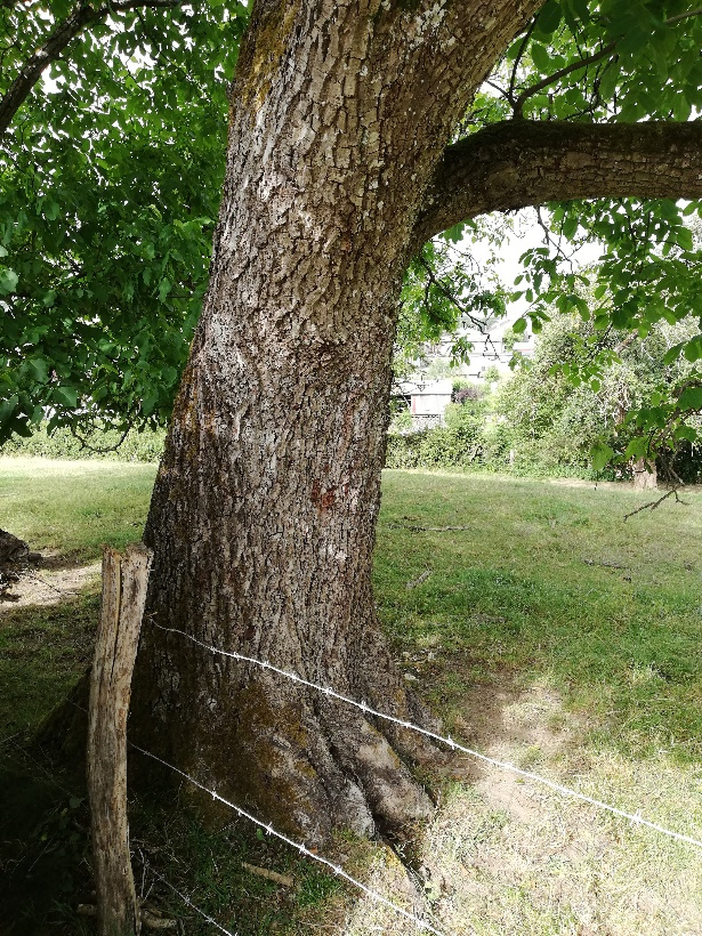 image8_resultat.jpg
