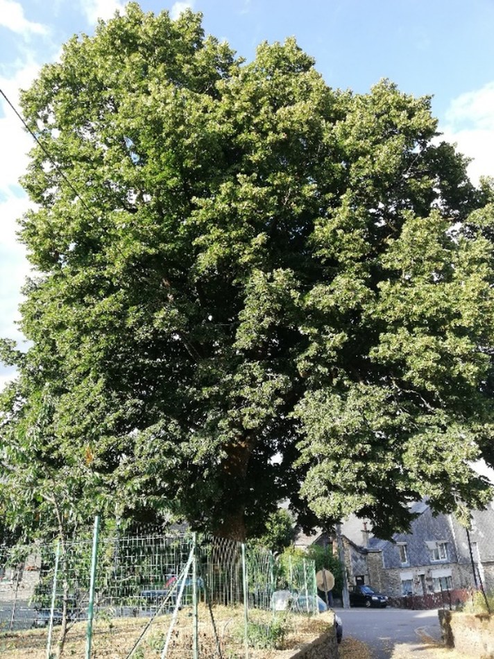 image3_resultat.jpg