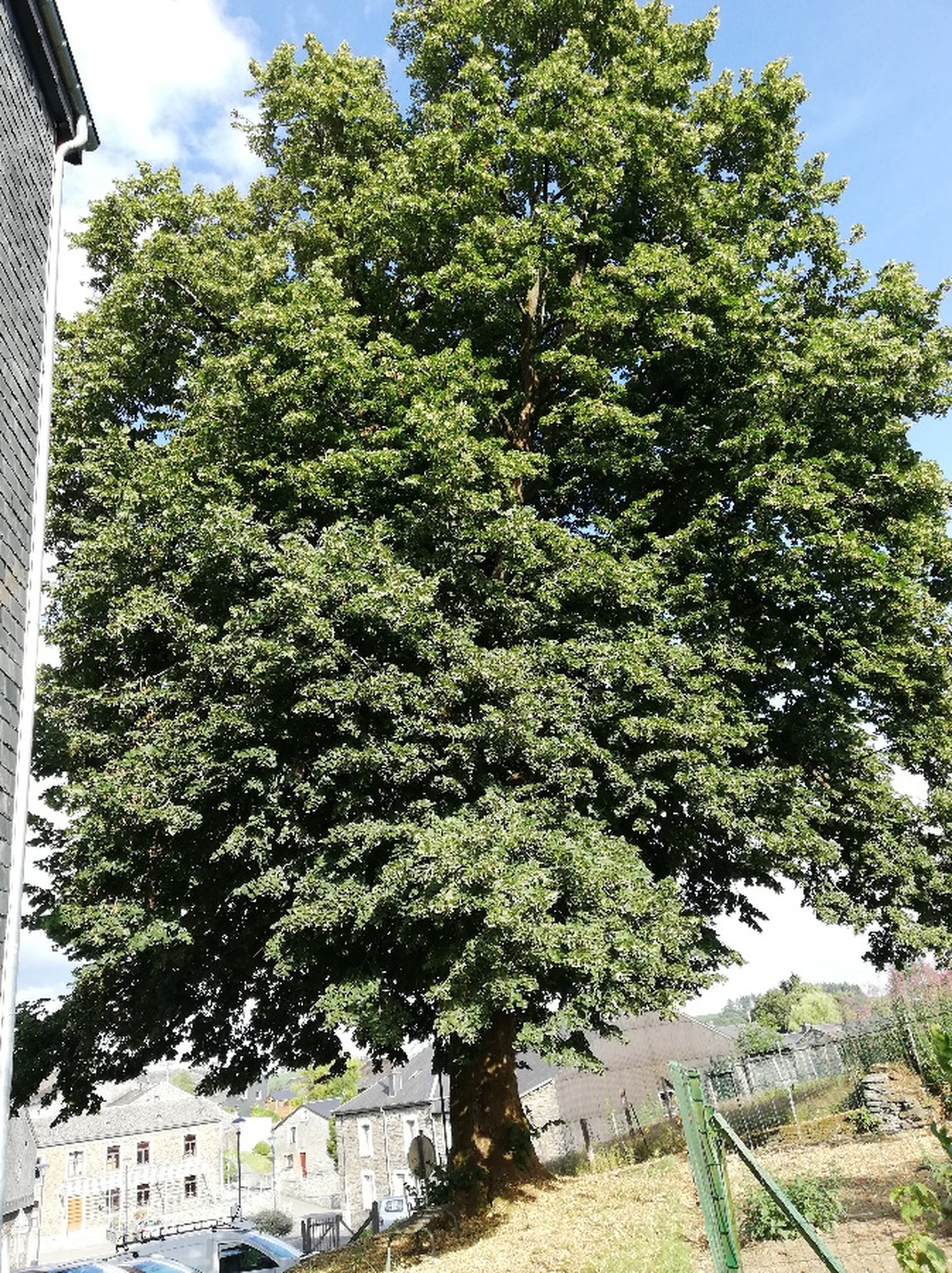 image5_resultat.jpg