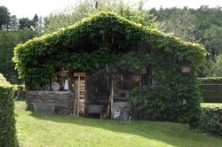 Rang de cochons - Laforêt
