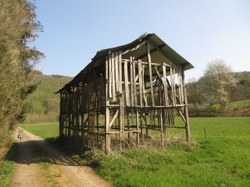 Séchoir à tabac - Bohan