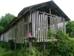 Séchoir à tabac - Membre