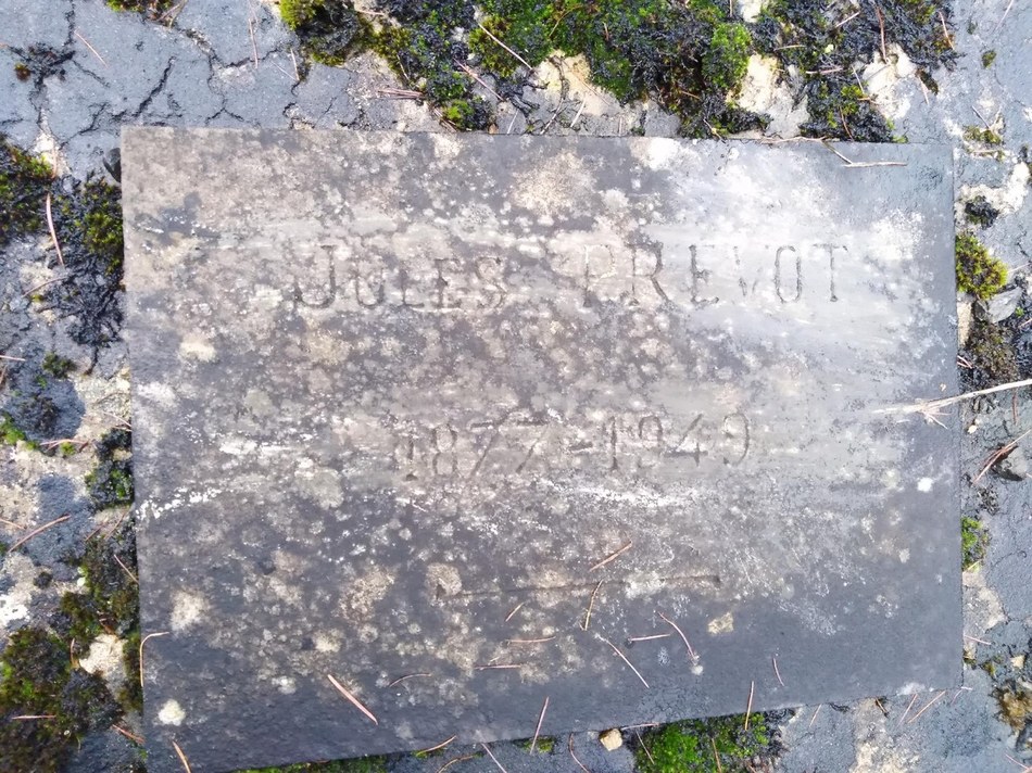 PUS012 04.jpg