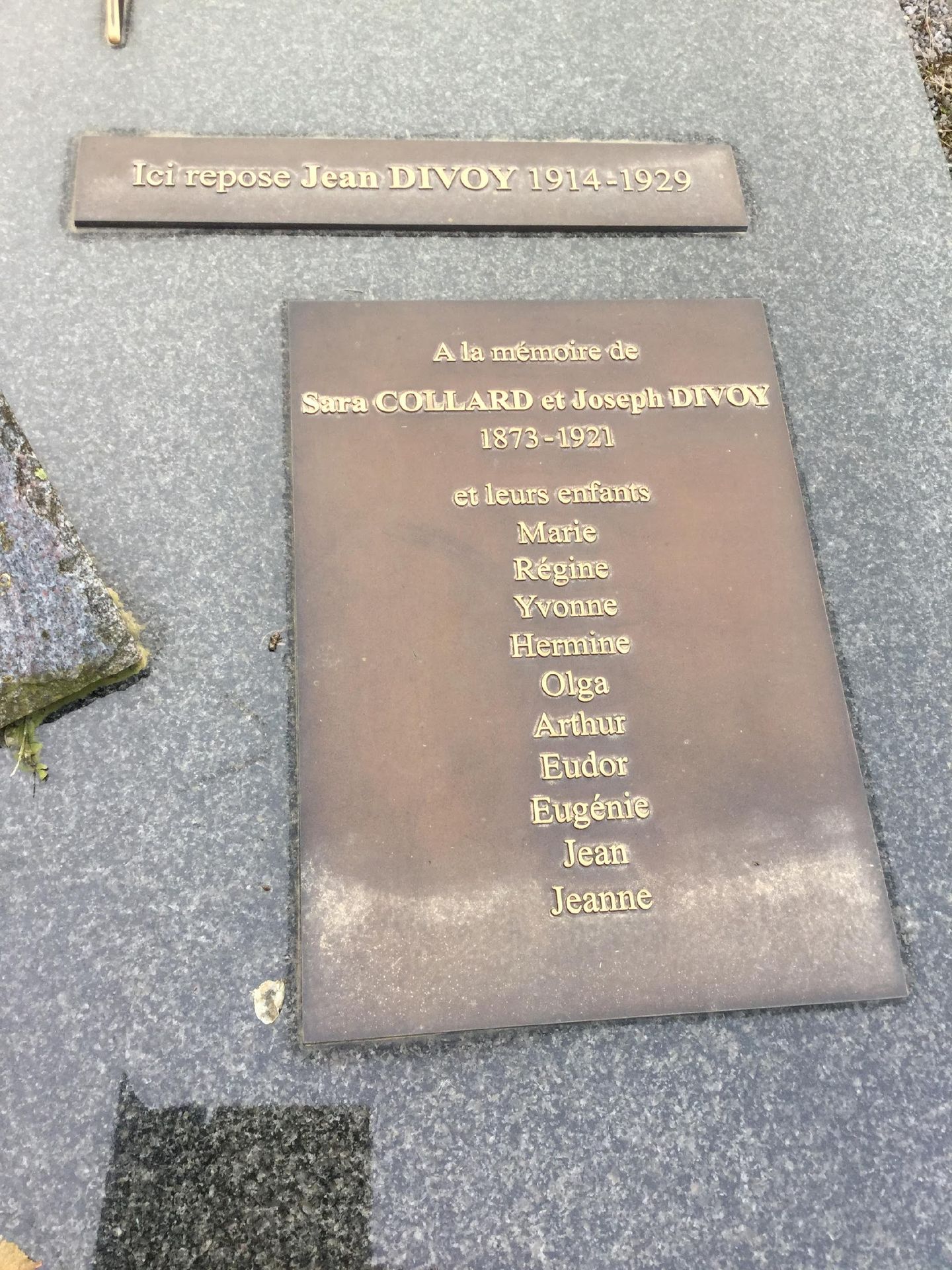 SUG046 - 02.jpg