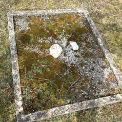 Sépulture d'intérêt social - Sugny