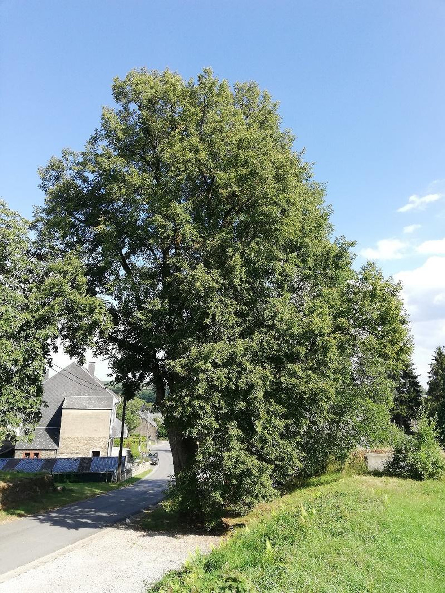 image5_resultat.jpg