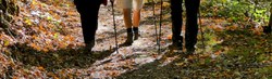 banner 06