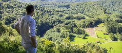 banner 12