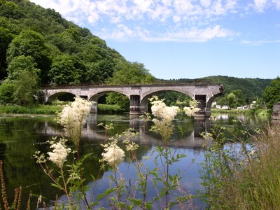 2008 - Bohan - été - Semois - pont cassé - fleurs (JM Verday Ardenne namuroise)  (2).JPG