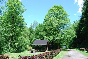 nafraiture_11.jpg