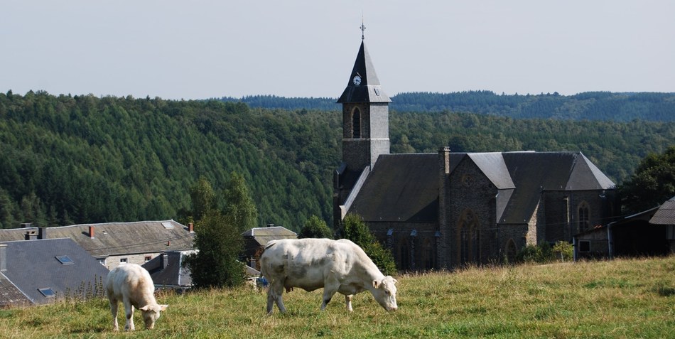 Sugny Eglise Vaches redim.jpg sugny eglise vaches redim.jpg